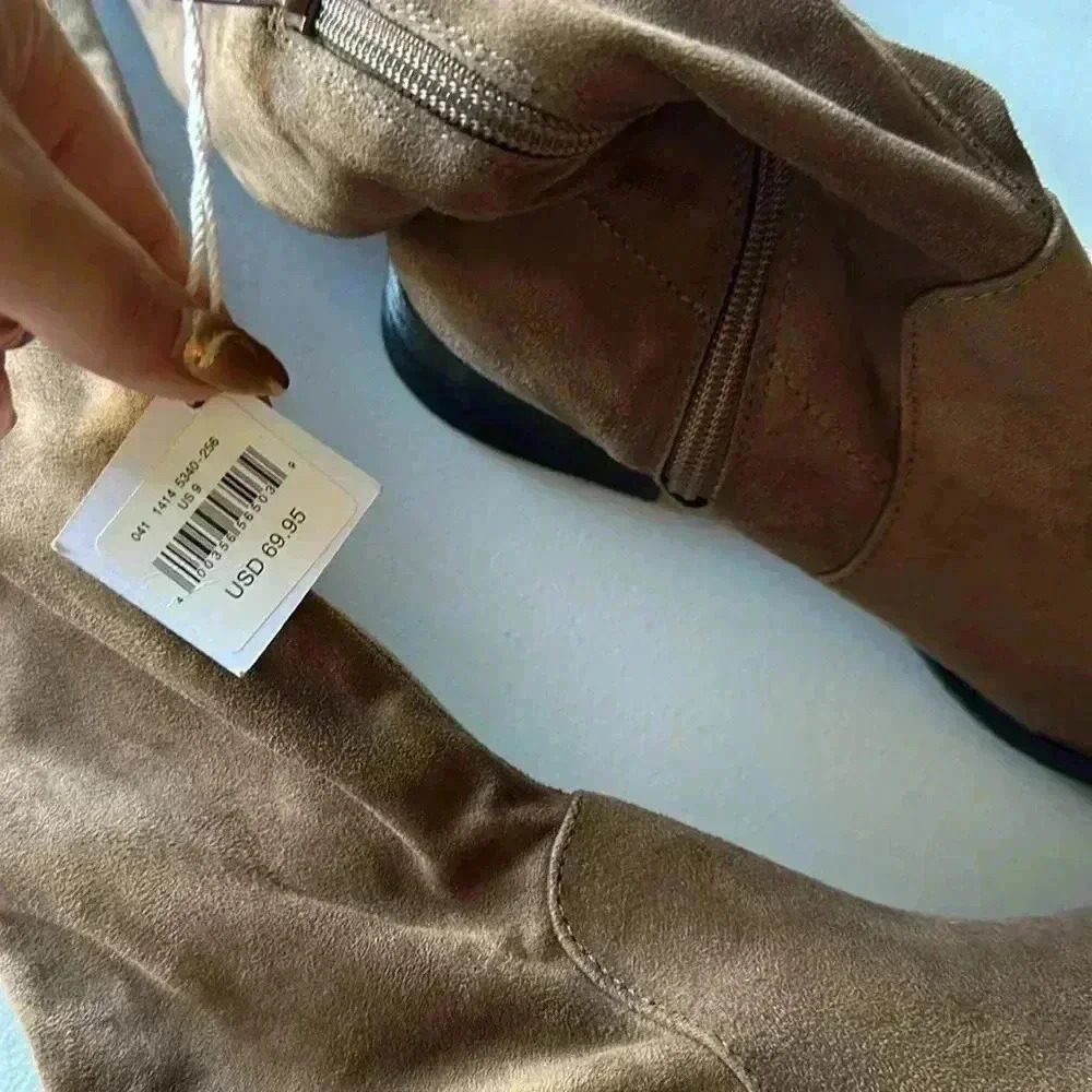 American eagle - Picture 5 of 6